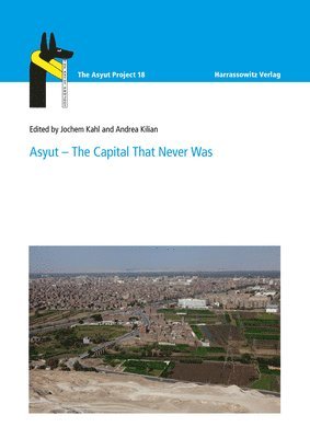 bokomslag Asyut - The Capital That Never Was