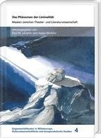 bokomslag Das Phanomen Der Liminalitat: Masken Zwischen Theater- Und Literaturwissenschaft