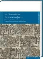 bokomslag Escrituras Andantes: Drama Im Druckdispositiv Zu Beginn Des Europaischen Buchmarktes