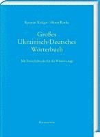 bokomslag Grosses Ukrainisch-Deutsches Worterbuch: Mit Freischaltcode Fur Die Windows-App - Basiert Auf Version 12.0 Des Digitalen Worterbuchs