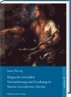 Irene Herzog - Magische Gestalten: Verzauberung Und Lenkung in Tassos Gerusalemme Liberata, Inbunden