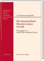 bokomslag Der altorientalische Mensch in seiner Umwelt