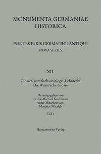 bokomslag Glossen Zum Sachsenspiegel-Lehnrecht. Die Wurm'sche Glosse: Unter Mitarbeit Von Matthias Witzleb