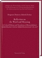 bokomslag Reflection on the Word and Meaning
