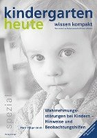 bokomslag Wahrnehmungsstörungen bei Kindern - Hinweise und Beobachtungshilfen