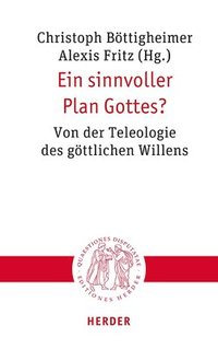 bokomslag Ein sinnvoller Plan Gottes?