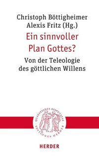 bokomslag Ein Sinnvoller Plan Gottes?: Von Der Teleologie Des Gottlichen Willens