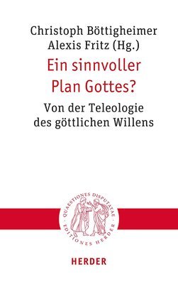 bokomslag Ein sinnvoller Plan Gottes?