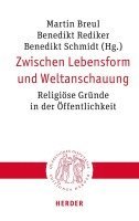 bokomslag Zwischen Lebensform Und Weltanschauung: Religiose Grunde in Der Offentlichkeit