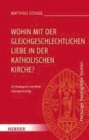 bokomslag Wohin mit der gleichgeschlechtlichen Liebe in der katholischen Kirche?