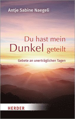 bokomslag Du Hast Mein Dunkel Geteilt: Gebete an Unertraglichen Tagen