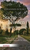 bokomslag Suche Frieden und jage ihm nach
