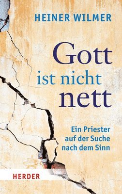 bokomslag Gott Ist Nicht Nett: Ein Priester Auf Der Suche Nach Dem Sinn