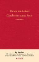 bokomslag Geschichte einer Seele