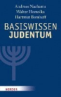 bokomslag Basiswissen Judentum