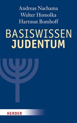 bokomslag Basiswissen Judentum