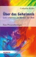 bokomslag Über das Geheimnis