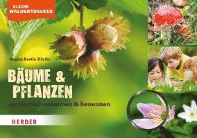 Kleine Waldentdecker: Bäume & Pflanzen 1