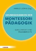 bokomslag Grundgedanken der Montessori-Pädagogik