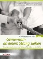 Nifbe - Gemeinsam an einem Strang ziehen, Häftad