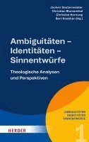 bokomslag Ambiguitäten - Identitäten - Sinnentwürfe