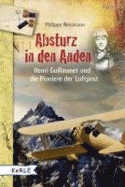 bokomslag Absturz in den Anden