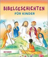 bokomslag Bibelgeschichten für Kinder
