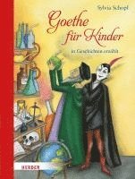 bokomslag Goethe für Kinder