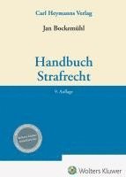 bokomslag Handbuch Strafrecht