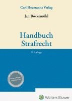 bokomslag Handbuch Strafrecht