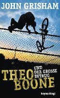 Theo Boone und der große Betrug