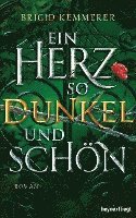 Brigid Kemmerer - Ein Herz so dunkel und schön, Inbunden