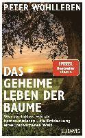 Das geheime Leben der Bäume 1