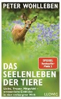 bokomslag Das Seelenleben der Tiere