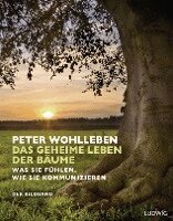 Peter Wohlleben - Das geheime Leben der Bäume, Inbunden