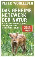 bokomslag Das geheime Netzwerk der Natur