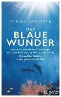 bokomslag Das blaue Wunder