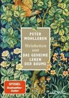 bokomslag Weisheiten aus 'Das geheime Leben der Bäume'