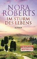 bokomslag Im Sturm des Lebens