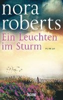 bokomslag Ein Leuchten im Sturm