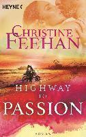 bokomslag Highway to Passion