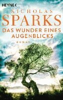 Nicholas Sparks - Das Wunder eines Augenblicks, Häftad