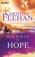 Christine Feehan - Highway to Hope (4), Häftad