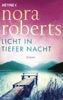 bokomslag Licht in tiefer Nacht