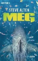 MEG 1