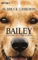 bokomslag Bailey - Ein Freund fürs Leben