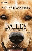 bokomslag Bailey - Ein Freund fürs Leben