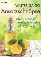 Walter Gaigg - Ansatzschnäpse, Häftad