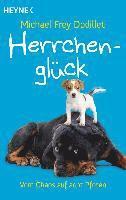 bokomslag Herrchenglück