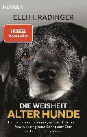 Die Weisheit alter Hunde